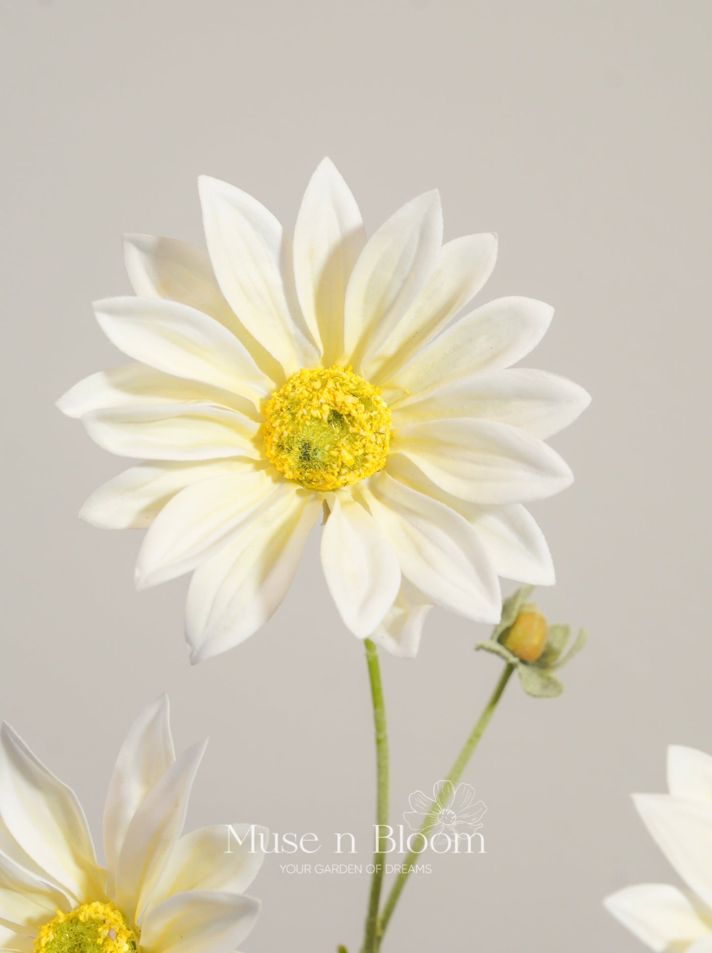 Artificial Daisy Flower Stem - Real Touch - White