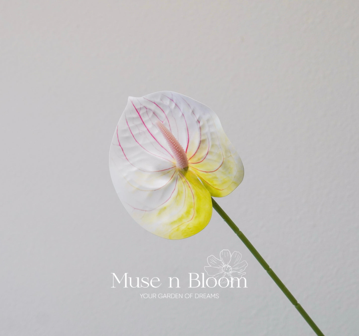 Artificial Anthurium Flower Stem - White Green