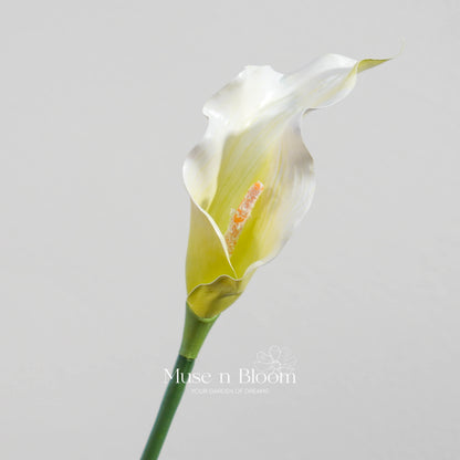 Artificial Calla Lily Flower Stem - Premium White