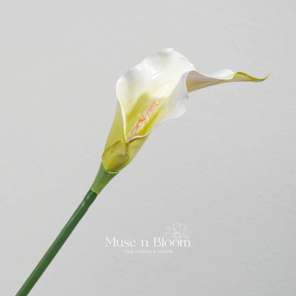 Artificial Calla Lily Flower Stem - Premium White