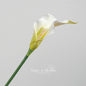Artificial Calla Lily Flower Stem - Premium White