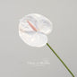 Artificial Anthurium Flower Stem - White