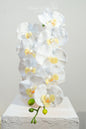 Artificial Orchid Flower Stem - White