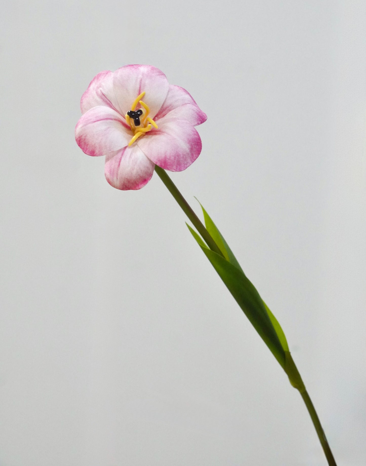 Artificial Tulip Flower Stems - PU Tulips Bloomed