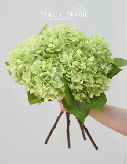 Artificial Hydrangeas - Green 18"