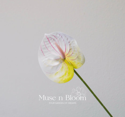 Artificial Anthurium Flower Stem - White Green