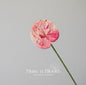 Artificial Anthurium Flower Stem - Ombre Pink